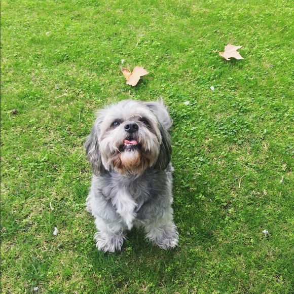 Meet your Posher, Imelda - Picture 1 of 1